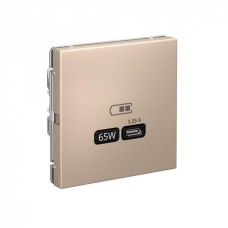 GAL001227 | ARTGALLERY USB РОЗЕТКА тип-С 65Вт высокоскор.заряд. QC, PD, механизм, ПЕСОЧНЫЙ Systeme Electric
GAL001227 | ARTGALLERY USB РОЗЕТКА тип-С 65Вт высокоскор.заряд. QC, PD, механизм, ПЕСОЧНЫЙ Systeme Electric