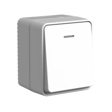 ATN543013 | ATLASDESIGN PROFI IP54 О/У 1-клавишный ВЫКЛЮЧАТЕЛЬ с подсветкой, сх.1а, 10АХ, СЕРЫЙ Systeme Electric
